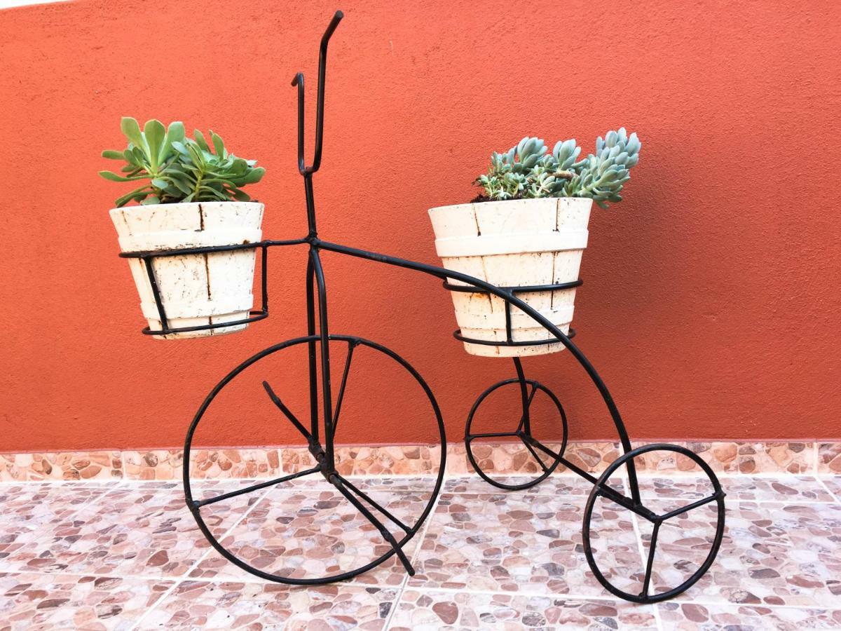 Lisboa Comfort Apartment 外观 照片
